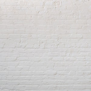May include: A white brick wall with a rough texture. The bricks are arranged in a traditional pattern, creating a simple and clean background.