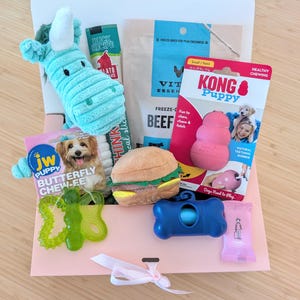 Custom Dog Gift Box | Personalized Themed Pet Gift Basket | Hand-Selected by Dog Trainer | Premium Birthday, Breed, Holiday Boxes