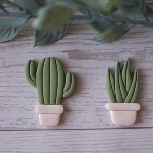 May include: Two green cactus and succulent plant decorations in white pots. The cactus has a ribbed design, and the succulent has long, pointed leaves. The plants are set against a light wood-grain background, with green leaves in the upper portion.