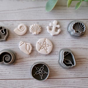 Op de afbeelding: Een verzameling koekjessnijders in de vorm van schelpen, waaronder een spiraalschelp, een sint-jakobsschelp, een zeester en een anker. De snijders zijn in grijstinten en gebroken wit, gerangschikt op een licht houten oppervlak.