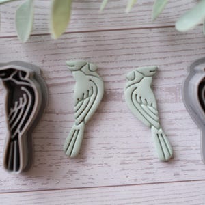 Puede incluir: Cuatro cortadores de galletas con forma de pájaro. Dos son de plástico gris con interior negro, y dos son de color verde claro. El diseño del pájaro presenta un contorno detallado de un pájaro con cola y alas. Los cortadores están sobre una superficie de vetas de madera clara.