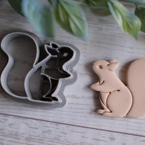 May include: A squirrel-shaped cookie cutter next to a squirrel-shaped cookie. The cookie cutter is gray, and the cookie is light brown. The squirrel has a fluffy tail and is standing on its hind legs.