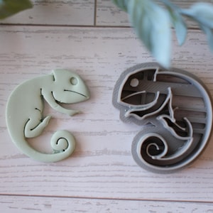 May include: Two chameleon-shaped cookie cutters. One is a light green, finished cookie, and the other is a gray plastic cutter. The cutters are on a light wood-grain surface, with leafy sprigs in the background.