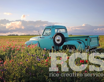 Old Turquoise Truck in Field of Flowers Image