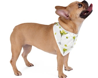 Puede incluir: Un bulldog francés marrón y blanco con un pañuelo blanco con un estampado de vaso de martini verde.
