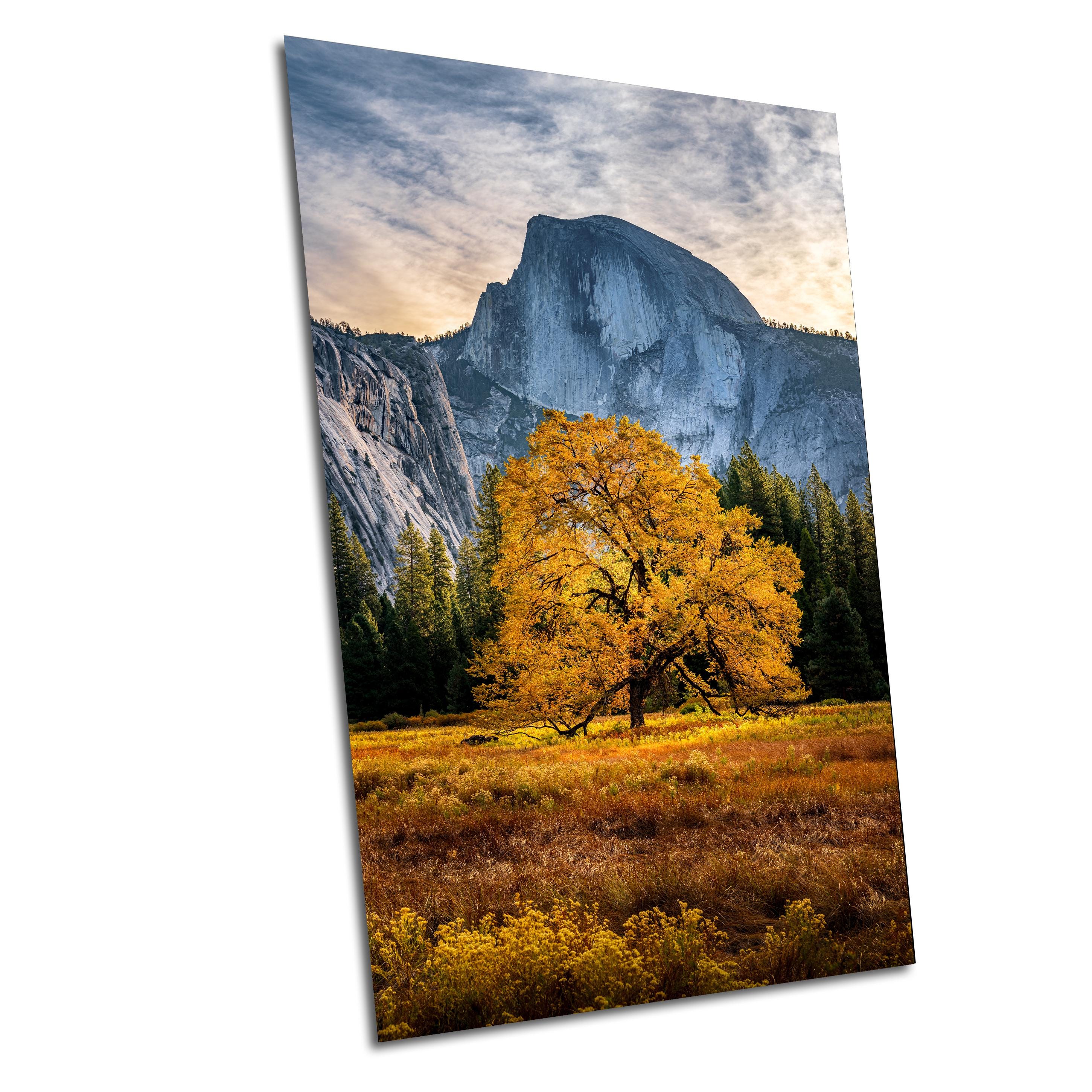 Ansel adams tree print - Etsy 日本