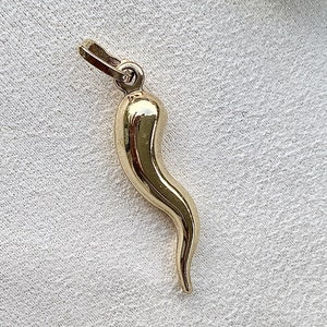 14k Italian Horn Cornicello Pendent Charm