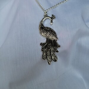 Peacock on Silver Chain