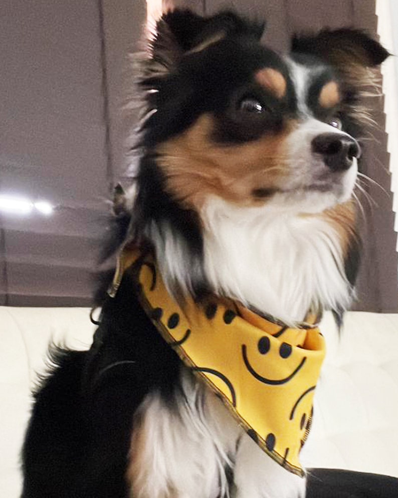 Smiley Face Dog Bandana Pattern Yellow Dog Bandana Dog Stuff Bandanas for Dogs Summer Dog Bandana Puppy Bandana Large Dog Bandana Reversible image 5