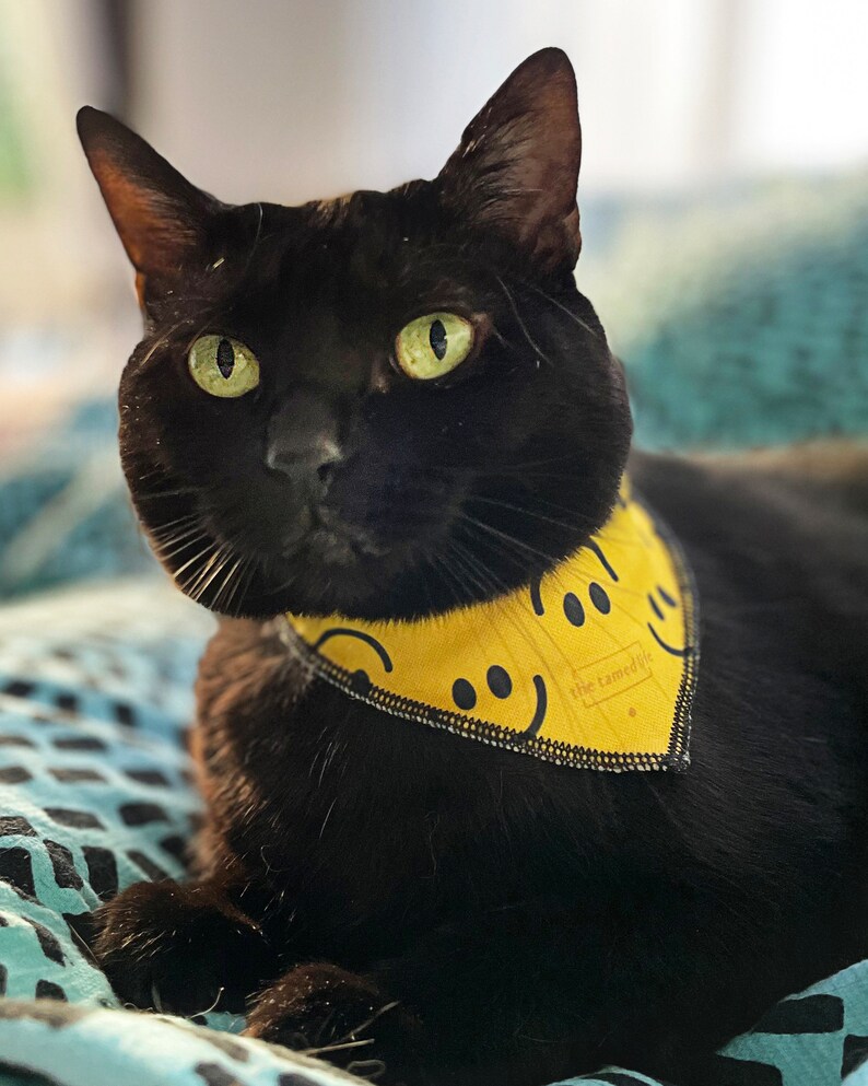 Smiley Face Dog Bandana Pattern Yellow Dog Bandana Dog Stuff Bandanas for Dogs Summer Dog Bandana Puppy Bandana Large Dog Bandana Reversible image 6