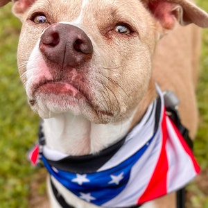 American Flag Dog Bandana Pattern Black And White Flag Reflective Vinyl Label Dog Stuff Labor Day Bandanas For Dogs Summer Dog Bandana image 8