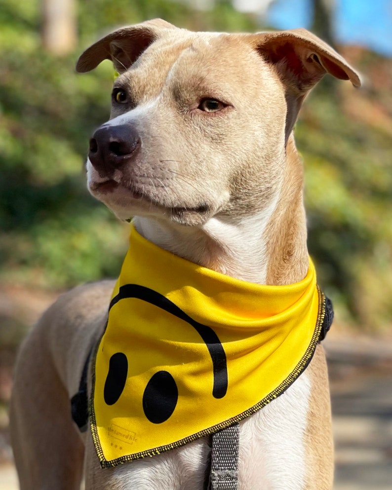 Smiley Face Dog Bandana Pattern Yellow Dog Bandana Dog Stuff Bandanas for Dogs Summer Dog Bandana Puppy Bandana Large Dog Bandana Reversible image 4