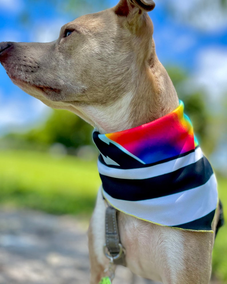 Rainbow Dog Bandana Pattern Reflective Vinyl Label Colorful Dog Stuff Bandanas for Dogs Summer Dog Bandana Puppy Bandana Large Dog Bandana image 6