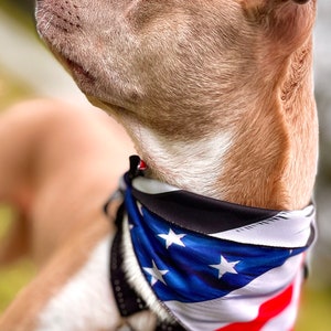 American Flag Dog Bandana Pattern Black And White Flag Reflective Vinyl Label Dog Stuff Labor Day Bandanas For Dogs Summer Dog Bandana image 6