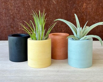 Cylinder Air Plant Holder | Minimalist | Modern Decor | Plant Lover Gift | Colorful