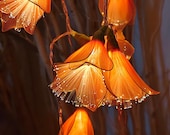Led Flower Fairy Lights, Handmade Blossom Flower String Lights, Cozy Bedroom Decor, Warm LED Lights, Gift for Mom