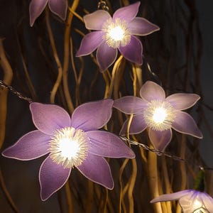 Peut inclure: Une guirlande lumineuse décorative composée d'abat-jours translucides en forme de fleurs violettes à six pétales. Chaque fleur possède un centre blanc brillant et est reliée par un fin fil argenté, créant un ensemble floral lumineux.