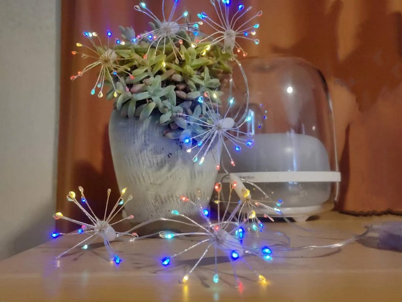 K&ouml;nnte beinhalten: Eine Sukkulente in einem wei&szlig;en Topf mit einer Lichterkette mit mehrfarbigen Gl&uuml;hbirnen. Die Lichter sind in Form eines Feuerwerks oder eines L&ouml;wenzahns geformt.