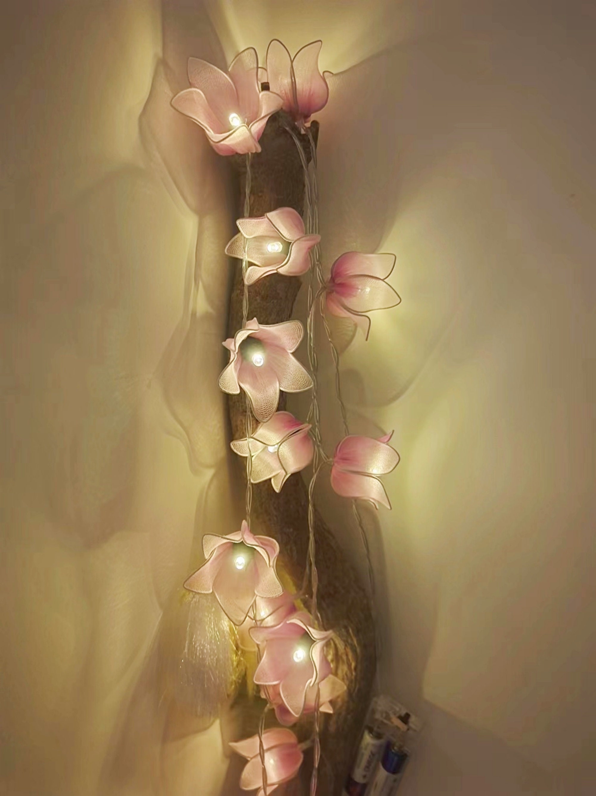 Dorm Plant Decor