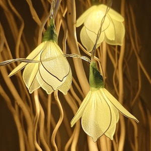 Flower Fairy String Lights – Warm LED Floral Lights, Cozy Bedroom, Dorm & Boho Room Decor, Gift for Her, Aesthetic Fairy Lights, USB｜Battery