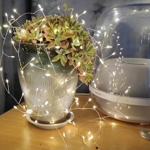 Pu&ograve; includere: Un vaso di ceramica bianca con una pianta grassa al suo interno, decorato con luci fatate bianche. Il vaso &egrave; appoggiato su un tavolo di legno.