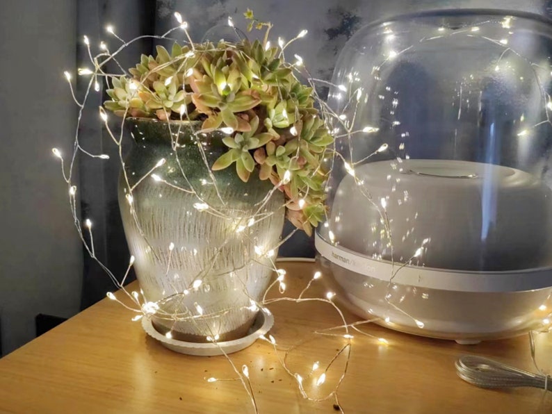 Pu&ograve; includere: Un vaso di ceramica bianca con una pianta grassa al suo interno, decorato con luci fatate bianche. Il vaso &egrave; appoggiato su un tavolo di legno.