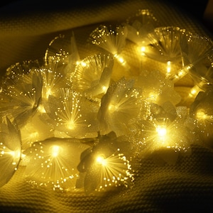 Pode incluir: Uma corda de luzes de fada com fios de fibra óptica brancos que se assemelham a pétalos de flores. As luzes são branco quente e emitem um brilho suave.