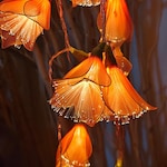 Fairy Home Decor