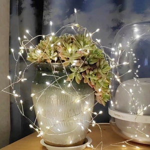 Pu&ograve; includere: Una pianta grassa in un vaso di ceramica bianca con una ghirlanda di luci bianche scintillanti avvolta intorno. La pianta si trova in una stanza con un umidificatore bianco sullo sfondo.