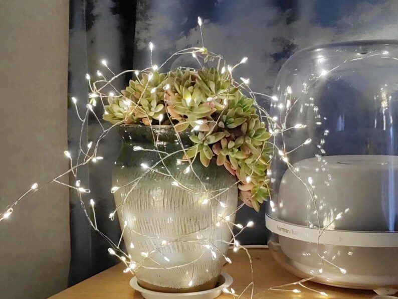 Pu&ograve; includere: Una pianta grassa in un vaso di ceramica bianca con una ghirlanda di luci bianche scintillanti avvolta intorno. La pianta si trova in una stanza con un umidificatore bianco sullo sfondo.