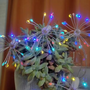 K&ouml;nnte beinhalten: Eine Sukkulente in einem Topf mit drei dekorativen, leuchtenden Drahtskulpturen, die an Feuerwerk erinnern. Die Skulpturen haben mehrfarbige LED-Leuchten in Blau, Gr&uuml;n, Gelb, Rot und Lila.