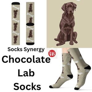 Peut inclure: Chaussettes Chocolate Lab avec un motif répété de Labrador Retrievers marron et d'os blancs sur un fond beige. Les chaussettes ont des talons et des orteils noirs. Le texte indique "Socks Synergy" et "Chocolate Lab Socks".