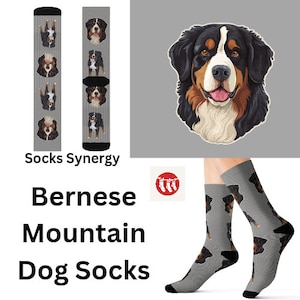 May include: Grey socks with Bernese Mountain Dog patterns. The socks have black heels and toes. The image also shows a Bernese Mountain Dog graphic and the text "Socks Synergy" and "Bernese Mountain Dog Socks".