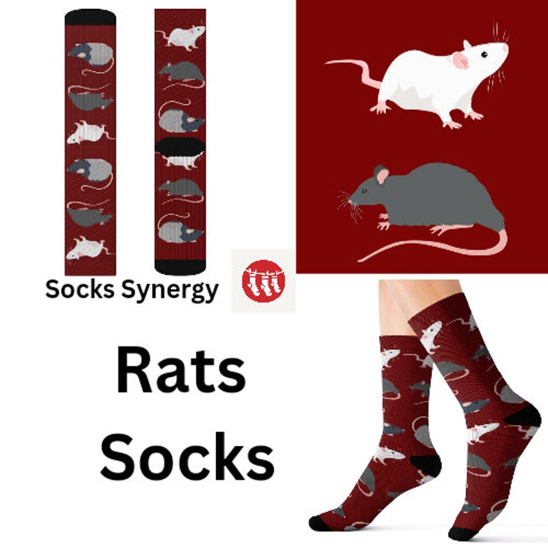 May include: Two pairs of socks with a red background and a pattern of rats. The socks are shown on a model's legs. The text "Socks Synergy" and "Rats Socks" is also shown.