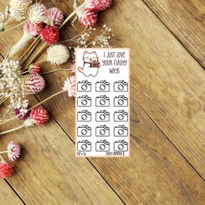 Puede incluir: Una hoja de pegatinas con un gato de dibujos animados sosteniendo una cámara y el texto "Me encanta tu estilo llamativo". La hoja incluye 12 pegatinas de cámara en blanco y negro.