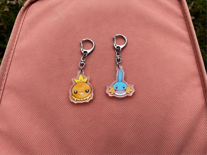 Mudkip, Torchic, Treeko Pokemon Keychain Hoenn Starter Charms Etsy