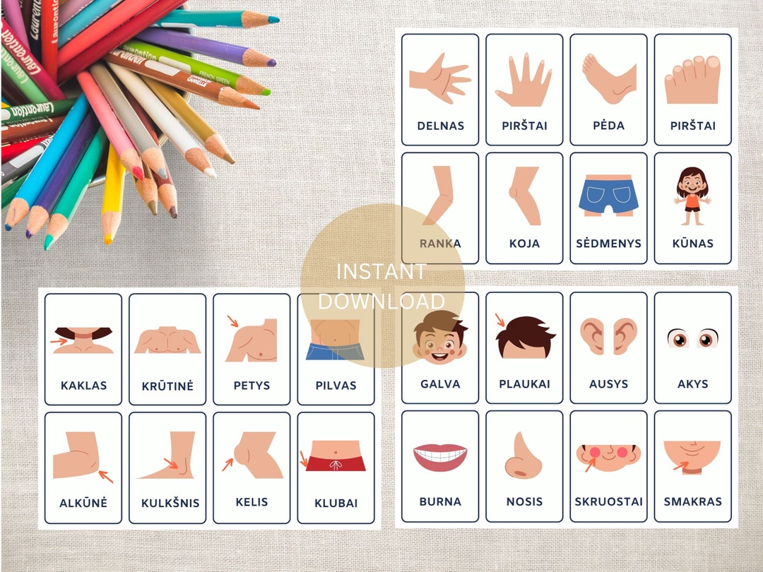 lithuanian-language-preschool-names-of-body-parts-printable-flashcards