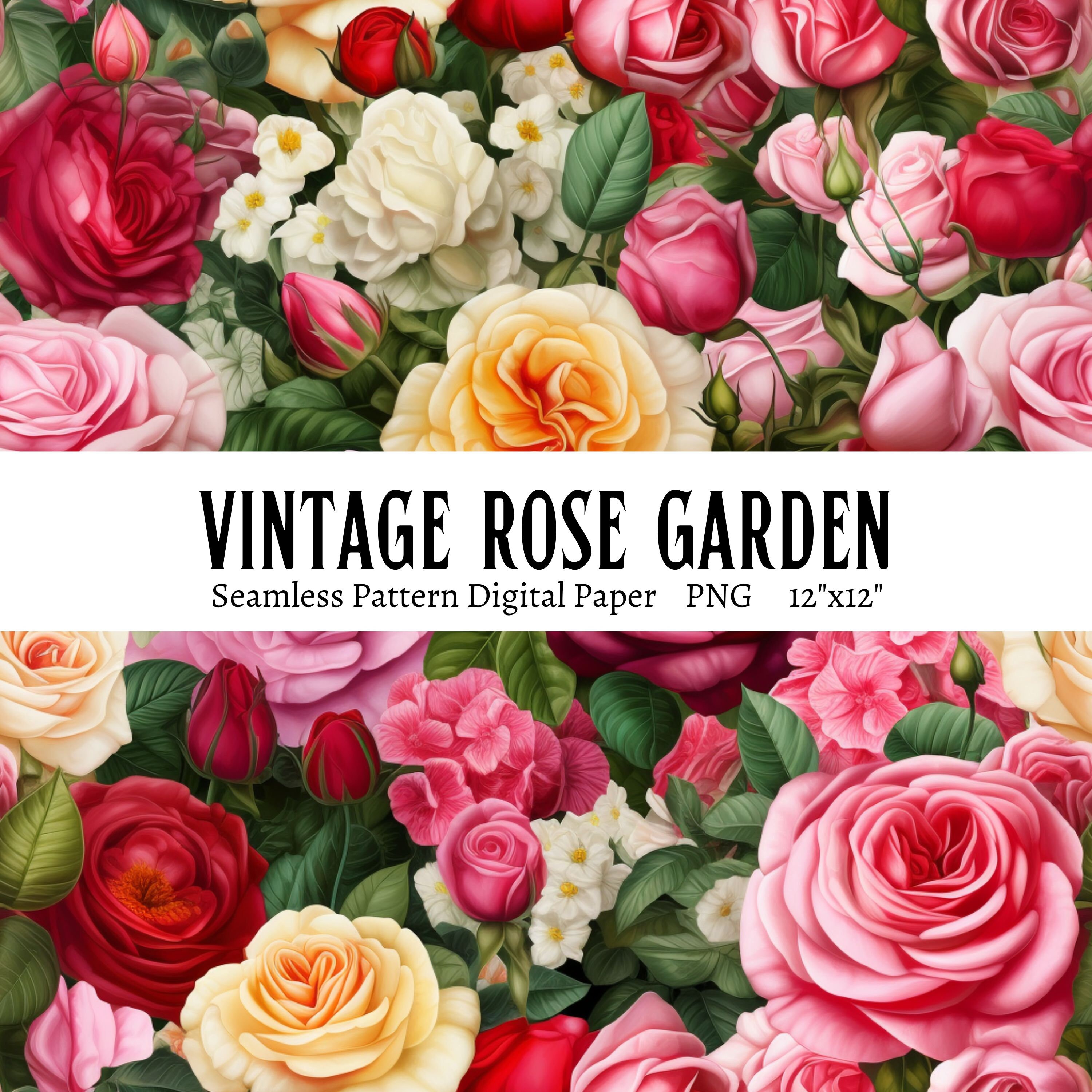 Vintage Rose Garden Digital Paper, Vintage Floral Patterns Bundle, Rose ...