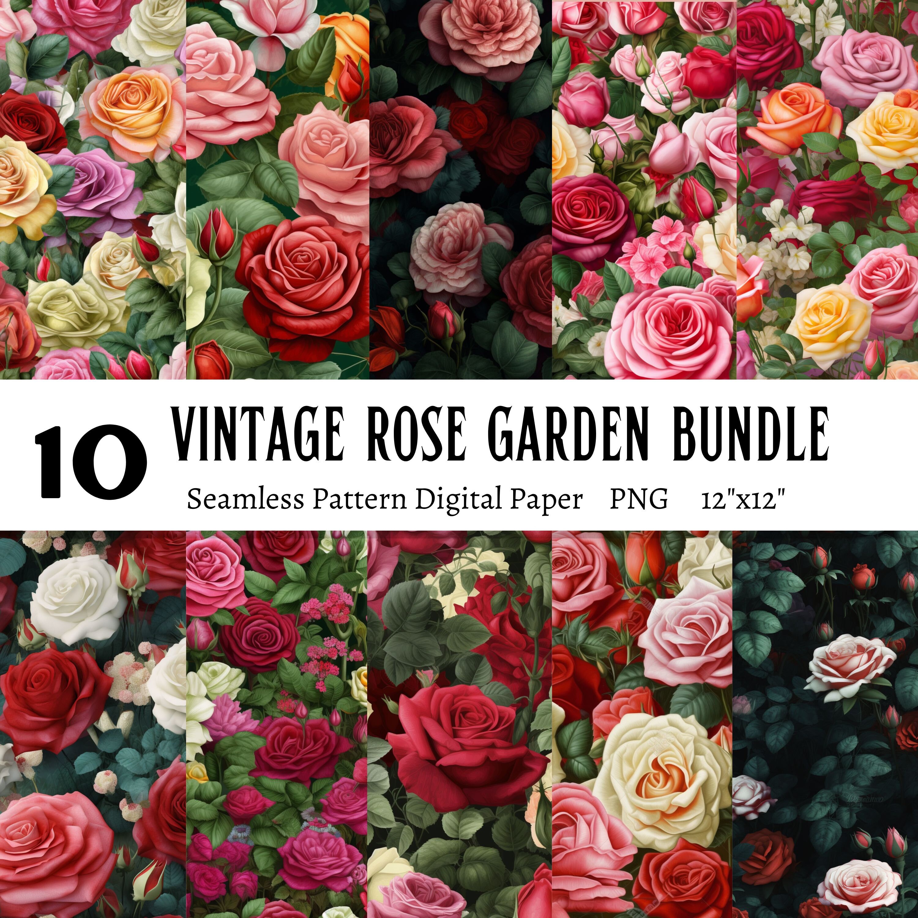 Vintage Rose Garden Digital Paper, Vintage Floral Patterns Bundle, Rose ...