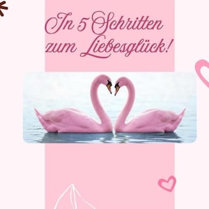 Puede incluir: Gráfico rosa con dos cisnes rosas cuyos cuellos forman un corazón. La imagen incluye el texto "In 5 Schritten zum Liebesglück!" en cursiva, junto con corazones rosas y una estrella.