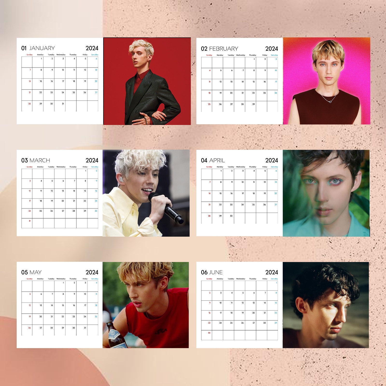 Troye Sivan Calendar 2024, Troye Sivan 2024 Celebrity Wall Calendar