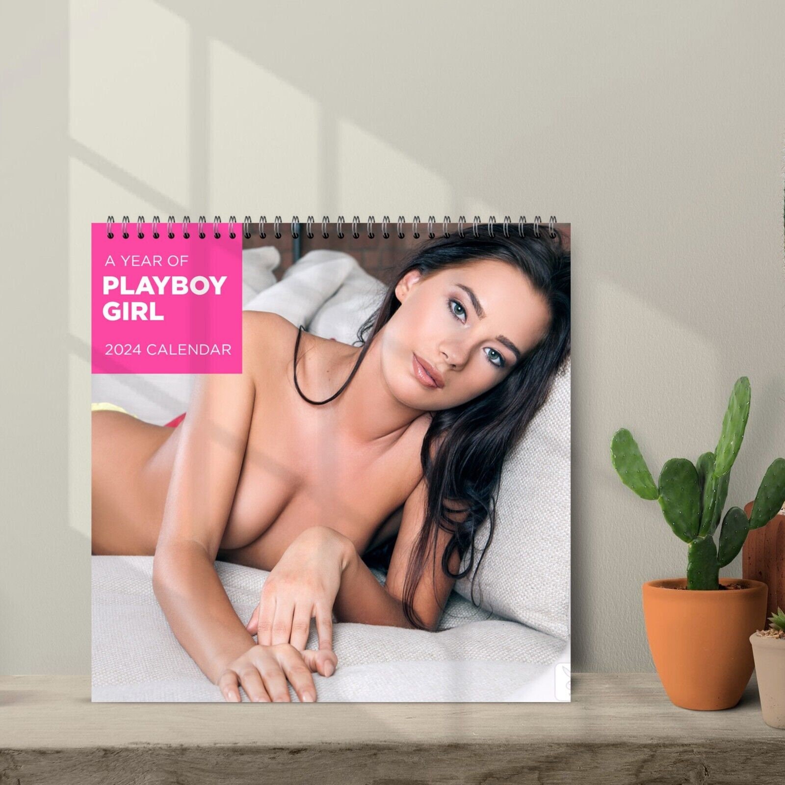 Playboy Girls Ver2 Calendar 2024, Celebrity Calendar, Playboy Girl 2024  Wall Calendar, Calendar Gifts, Wall Calendar 2024, New Year Gift 