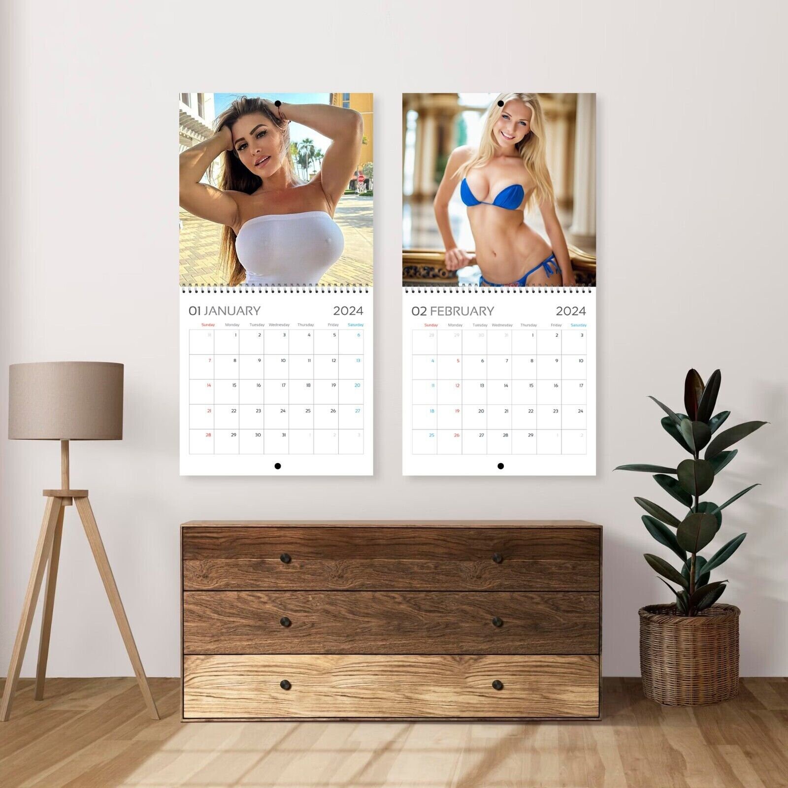 Playboy Girls Ver2 Calendar 2024 Celebrity Calendar Playboy - Etsy