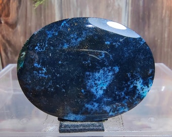 Space Gemsilica > Bacan Blue Electric > Size : 41,8x31,4x4,6 mm > Polished Oval > Cabochons > Blue opalized wood