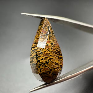 Gem Dino Bone