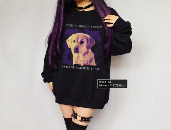 When You Go Out In Public Sweatshirt Antisocial Funny Dog Silly Sweater Unhinged Meme ADHD Weird Crew Sarcasm Humor Memecore Anxiety Jumper
