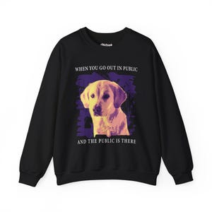 May include: Black sweatshirt with a graphic of a yellow dog and the text "When you go out in public and the public is there."