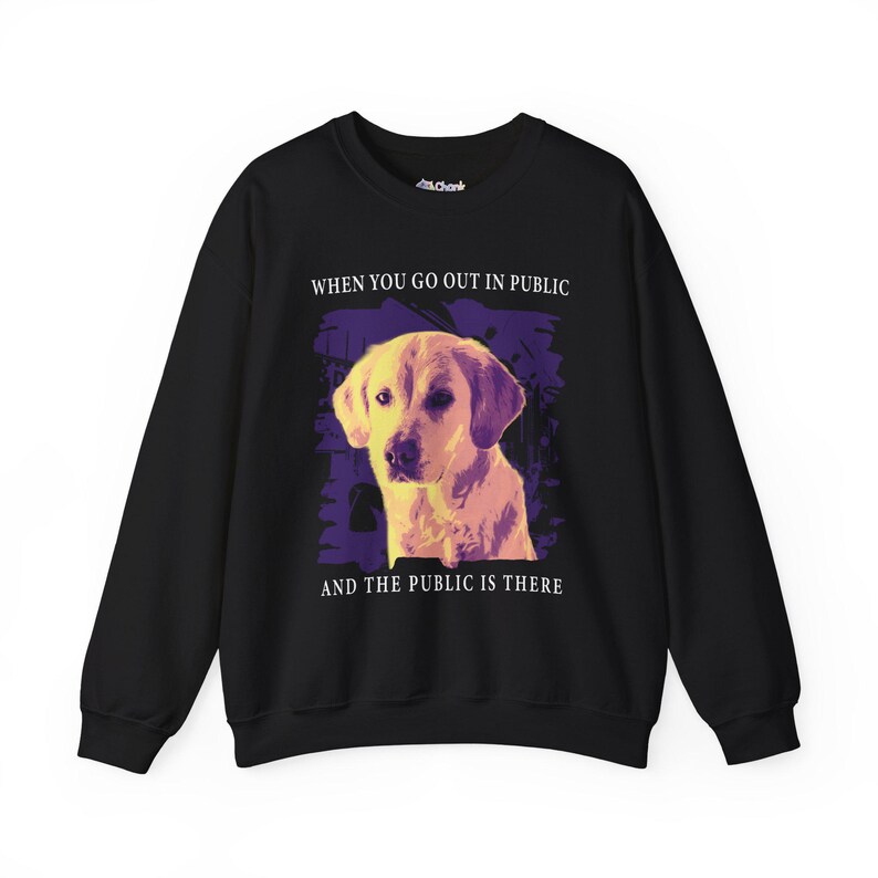 May include: Black sweatshirt with a graphic of a yellow dog and the text "When you go out in public and the public is there."