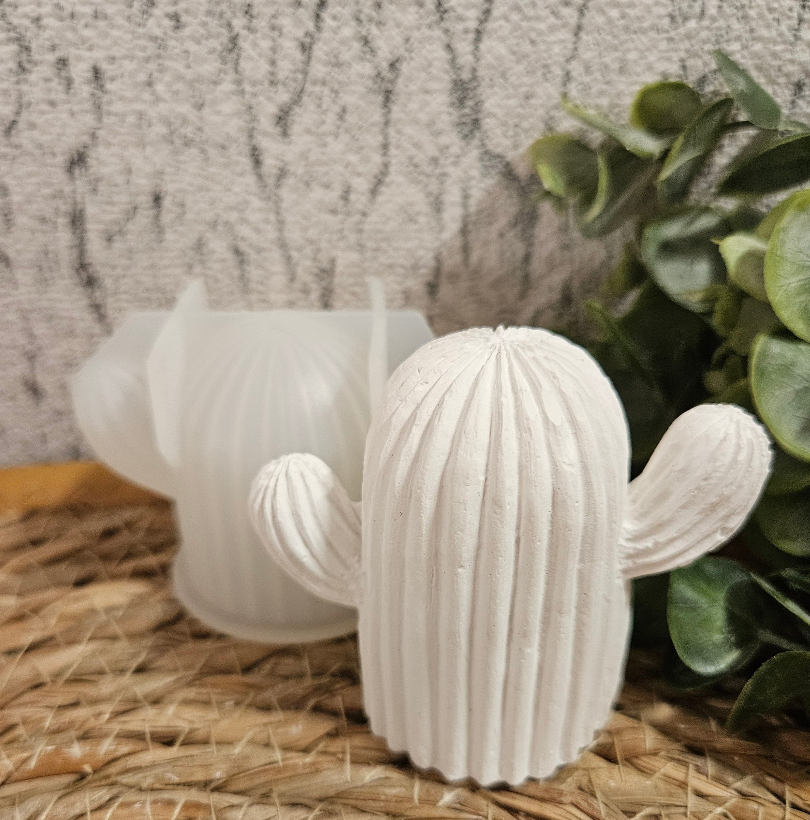 monstera zimmerpflanze Monstera XL | Monstera deliciosa