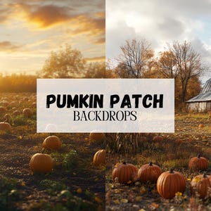Peut inclure: Deux arrière-plans d'automne pour patch de citrouilles. Le premier arrière-plan présente un champ de citrouilles au coucher du soleil. Le deuxième arrière-plan présente une grange rustique dans un champ avec des feuillages d'automne.